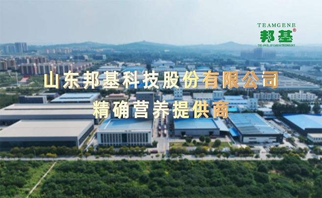 山东3118云顶集团科技股份有限公司官方网站